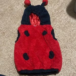 2T Lady Bug Costume